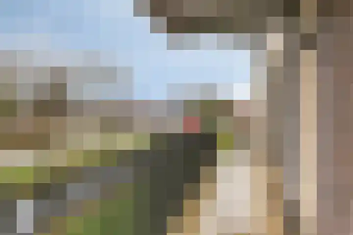 Grotenhuyshof 31 Purmerend thumbnail 18