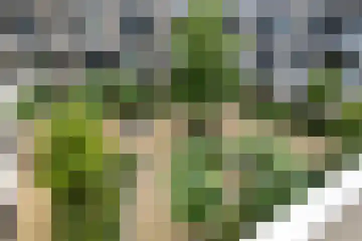 Grotenhuyshof 33 Purmerend thumbnail 26