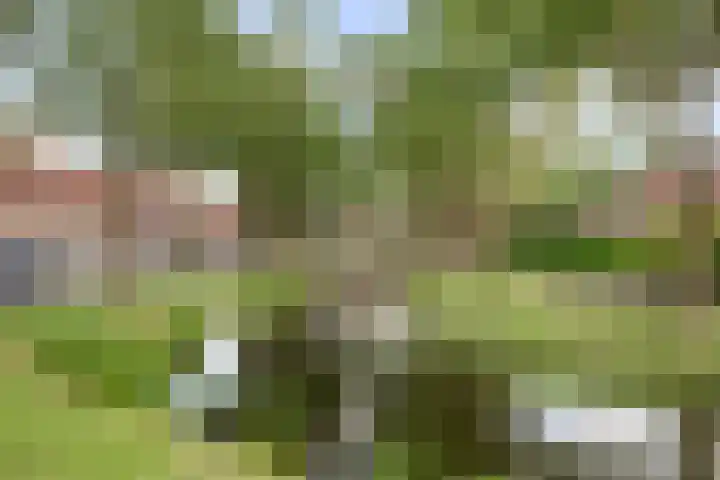 Grotenhuyshof 33 Purmerend thumbnail 27