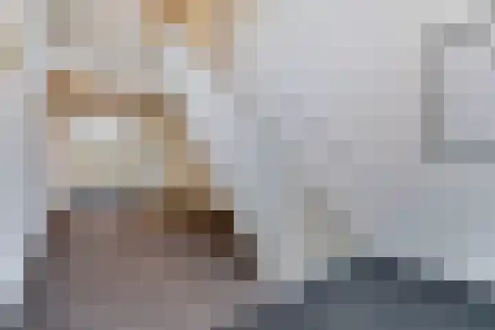Grotenhuyshof 36 Purmerend thumbnail 20
