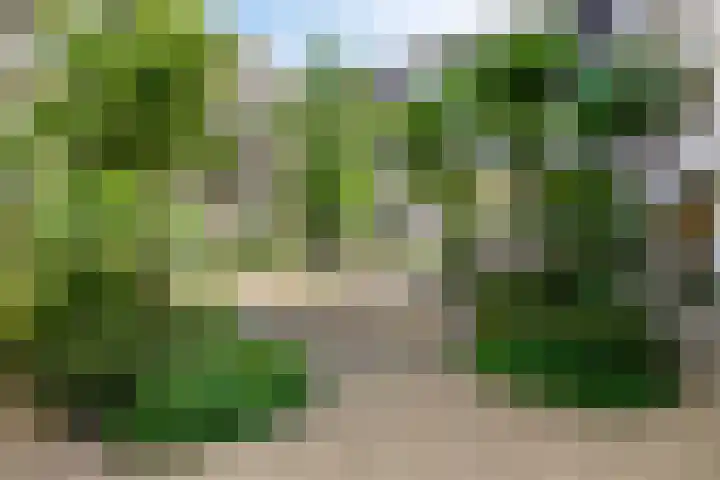 Grotenhuyshof 36 Purmerend thumbnail 21