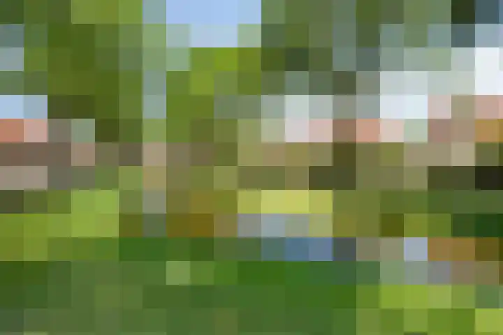 Grotenhuyshof 36 Purmerend thumbnail 25