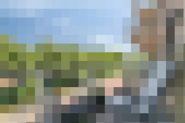 Grotenhuyshof 36 Purmerend thumbnail 7