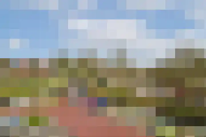Grotenhuyshof 37 Purmerend thumbnail 15