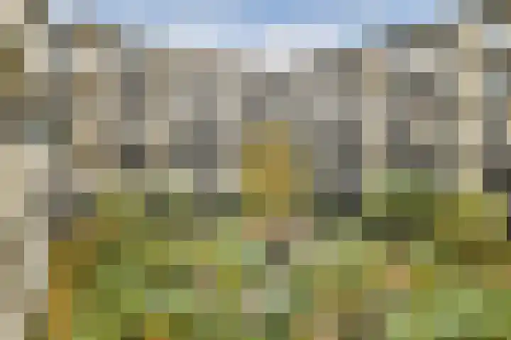 Grotenhuyshof 37 Purmerend thumbnail 19