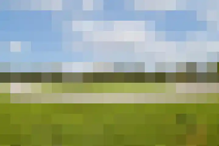 Grotenhuyshof 37 Purmerend thumbnail 23