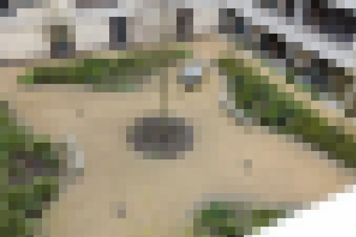 Grotenhuyshof 64 Purmerend thumbnail 35
