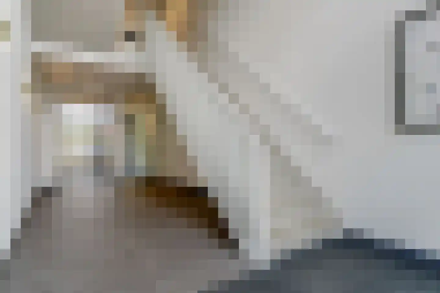 Grotenhuyshof 74 Purmerend thumbnail 26