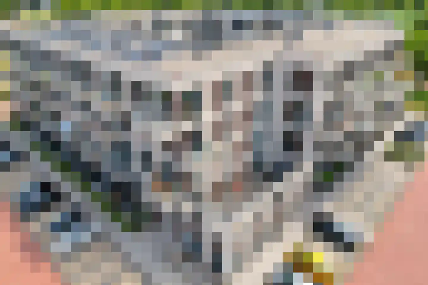 Grotenhuyshof 74 Purmerend thumbnail 36