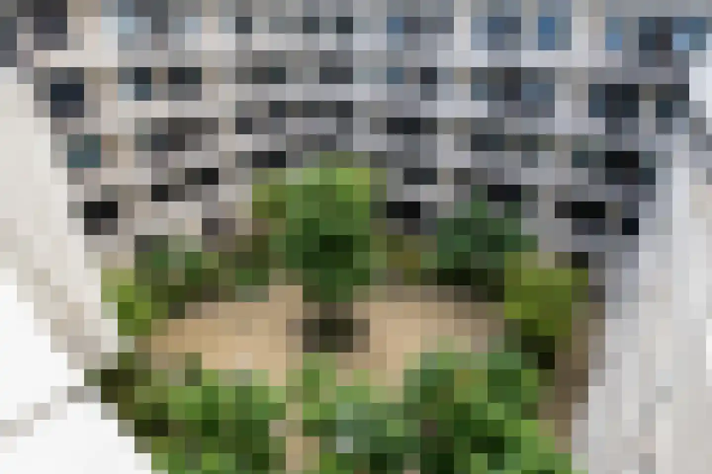 Grotenhuyshof 74 Purmerend thumbnail 37