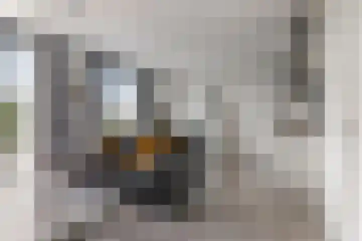 Grotenhuyshof 88 Purmerend thumbnail 12