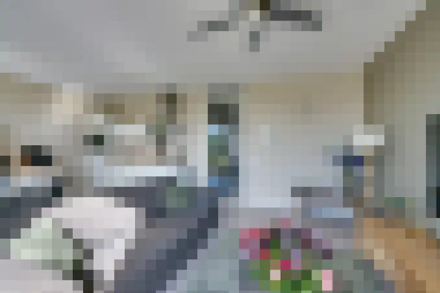 Grotenhuyshof 88 Purmerend thumbnail 21