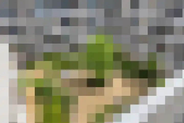 Grotenhuyshof 88 Purmerend thumbnail 23