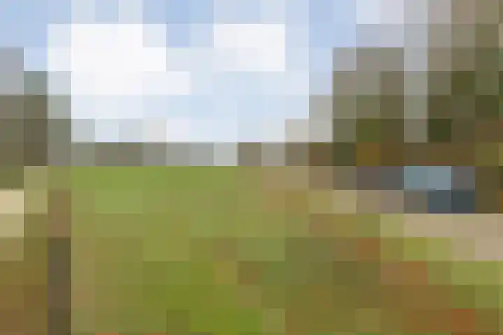 Grotenweg 3 Lemele thumbnail 10