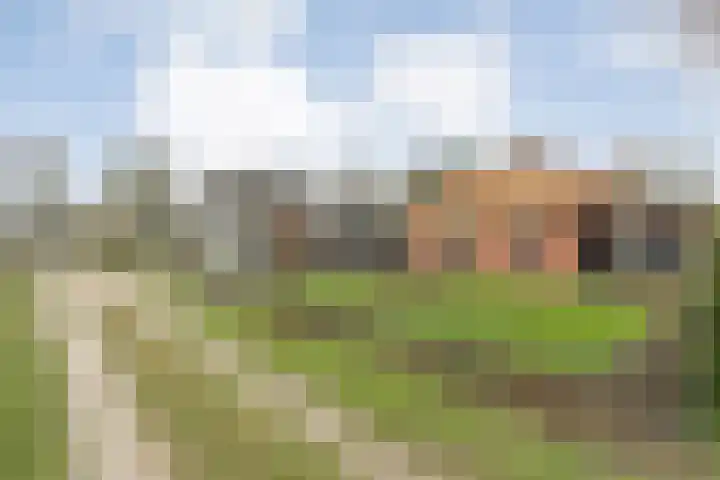 Grotenweg 3 Lemele thumbnail 11