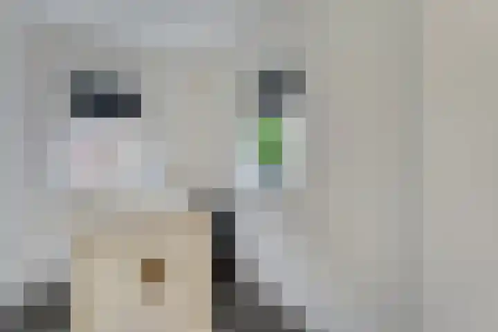 Grotenweg 3 Lemele thumbnail 31