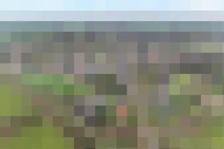 Grotenweg 3 Lemele thumbnail 6