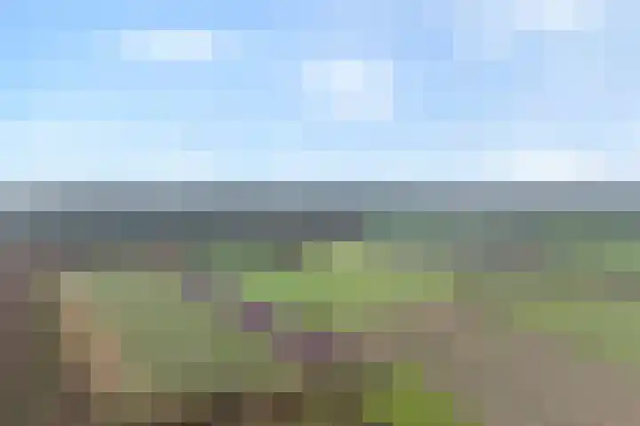 Grotenweg 3 Lemele thumbnail 7