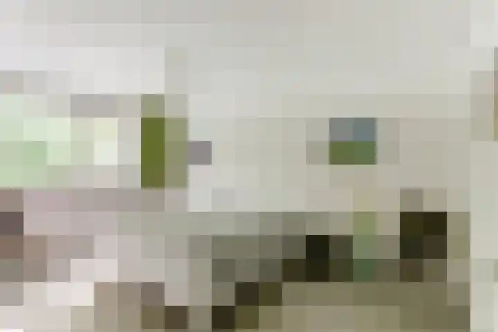 Grotersweg 1 Winterswijk thumbnail 21