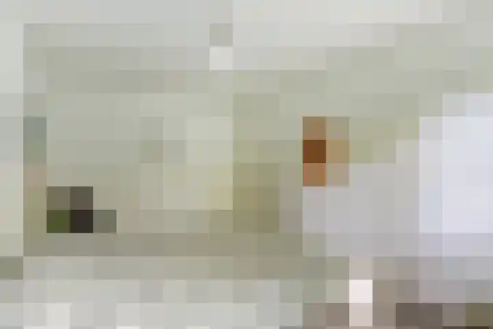 Grotersweg 1 Winterswijk thumbnail 22