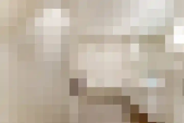 Grotersweg 1 Winterswijk thumbnail 24
