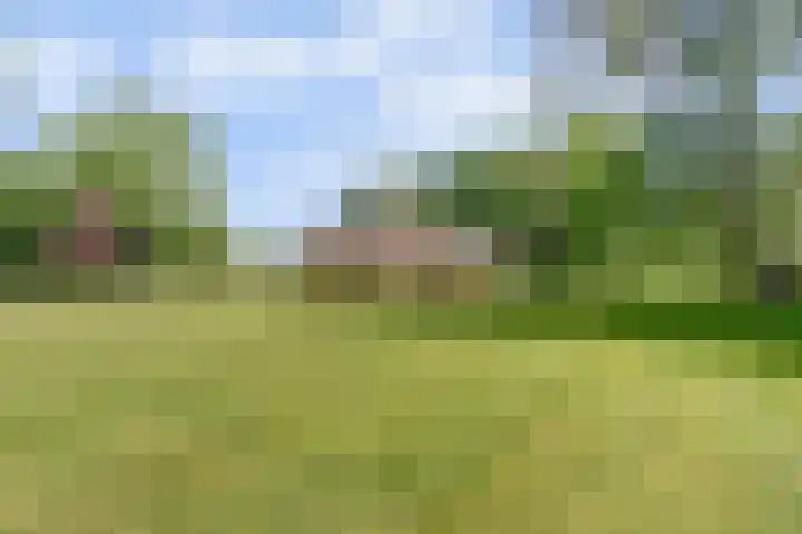 Grotersweg 1 Winterswijk thumbnail 5