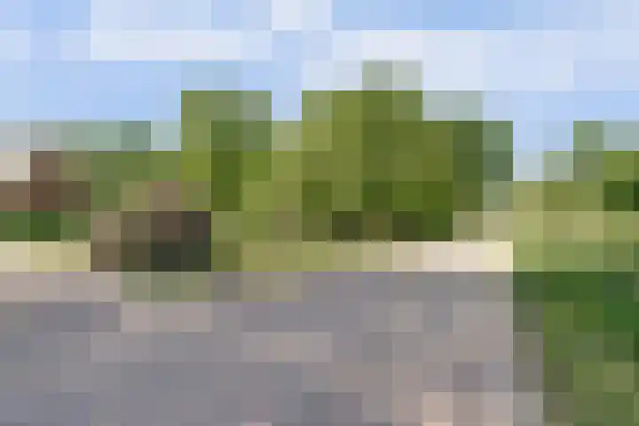 Grotersweg 1 Winterswijk thumbnail 53