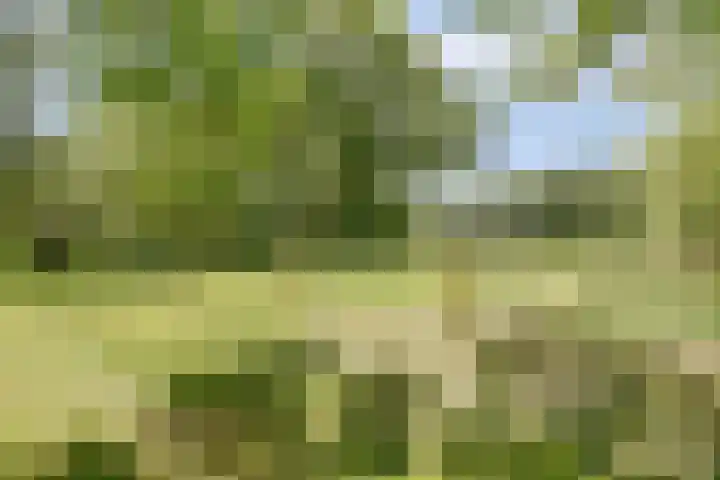 Grotersweg 1 Winterswijk thumbnail 57