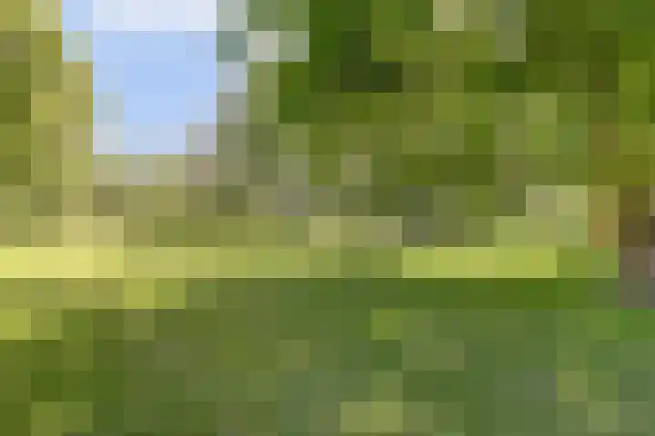 Grotersweg 1 Winterswijk thumbnail 58
