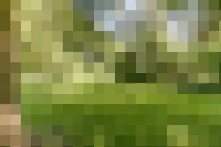 Grotersweg 1 Winterswijk thumbnail 59