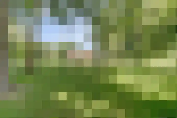 Grotersweg 1 Winterswijk thumbnail 60