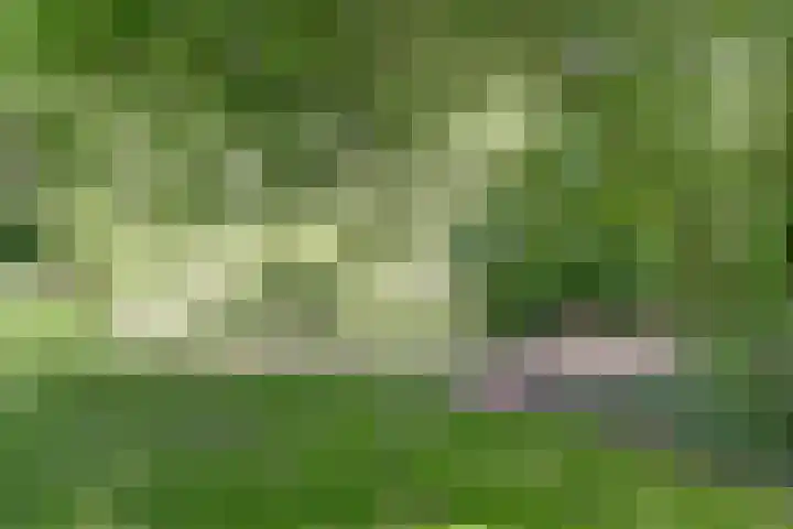 Grotersweg 1 Winterswijk thumbnail 61