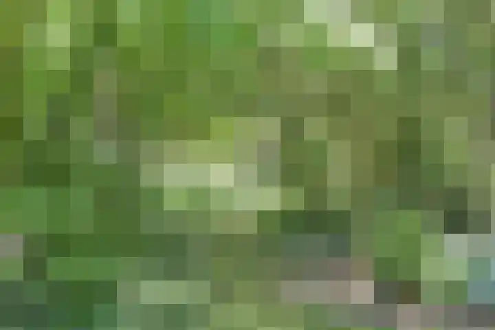 Grotersweg 1 Winterswijk thumbnail 62