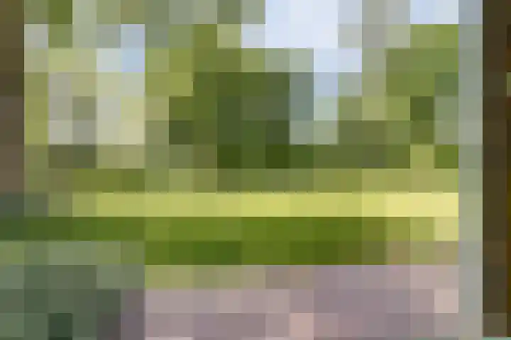 Grotersweg 1 Winterswijk thumbnail 63