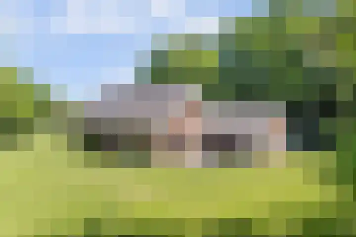 Grotersweg 1 Winterswijk thumbnail 65