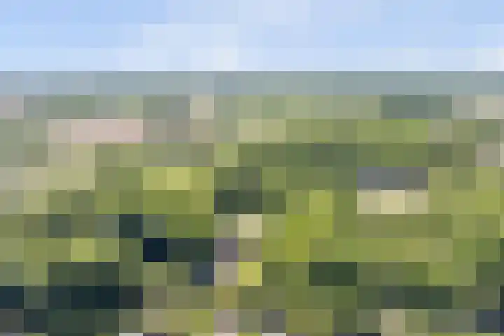 Grotersweg 1 Winterswijk thumbnail 66