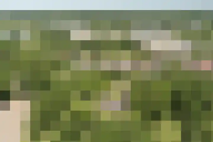 Grotersweg 1 Winterswijk thumbnail 67