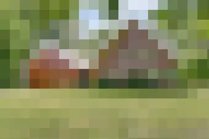 Grotersweg 1 Winterswijk thumbnail 7