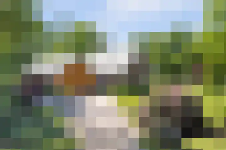 Grotersweg 1 Winterswijk thumbnail 76