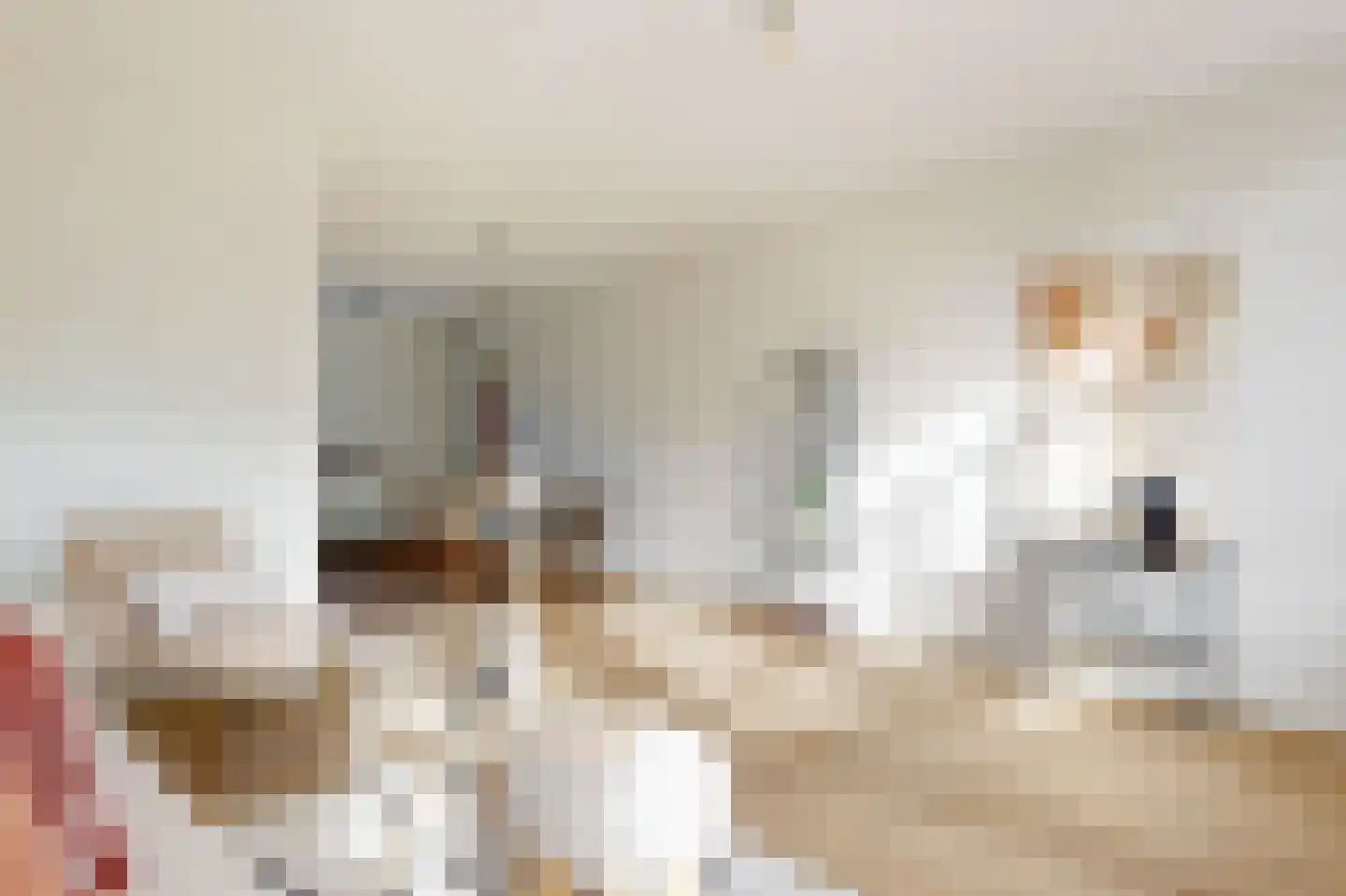 Grotesteeg 13 Woerden thumbnail 9