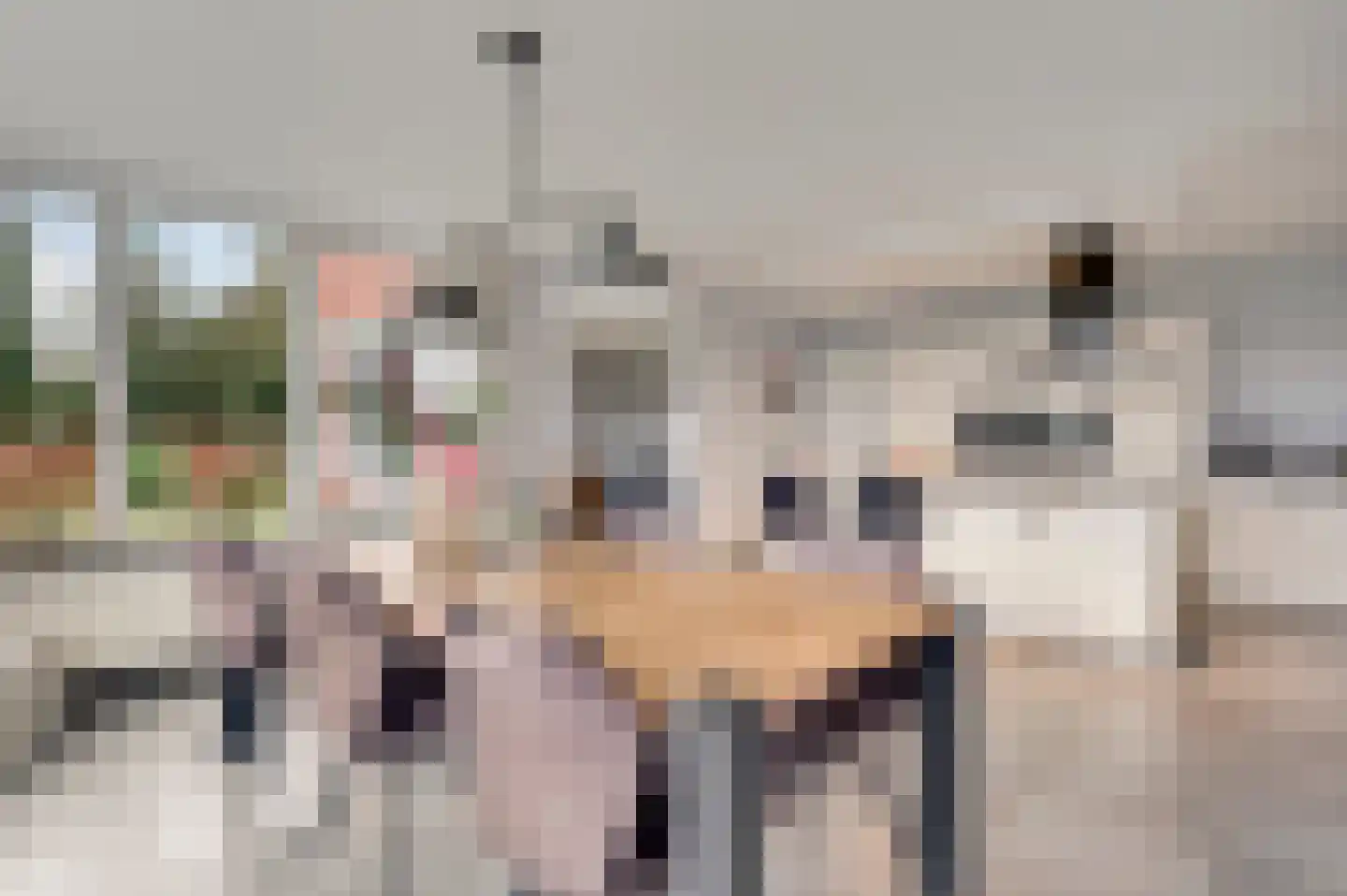 Grotesteeg 27 Weert thumbnail 24