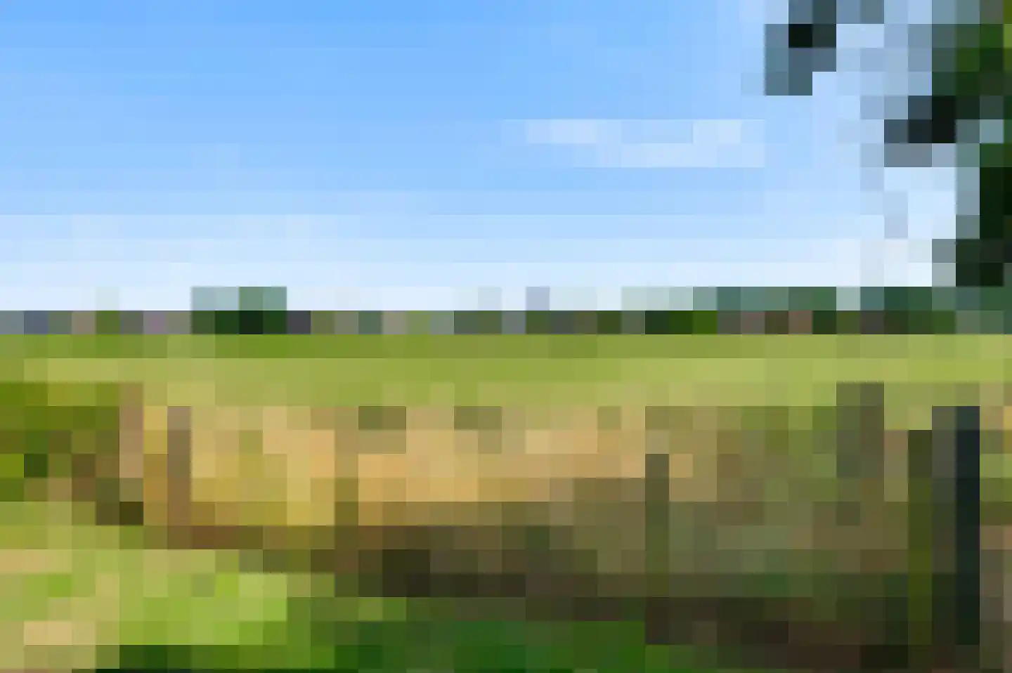 Grotesteeg 27 Weert thumbnail 49