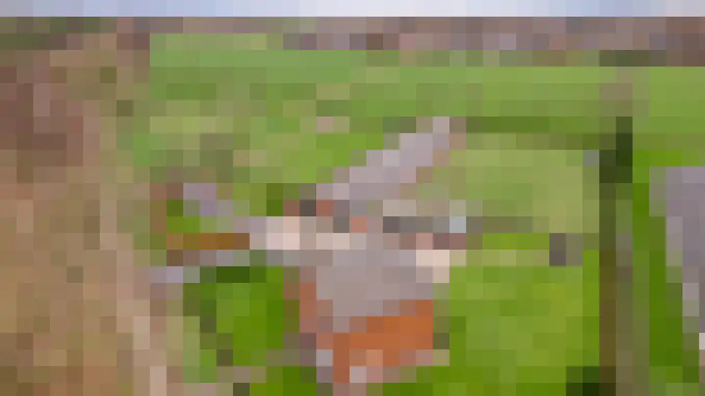 Grotesteeg 27 Weert thumbnail 5