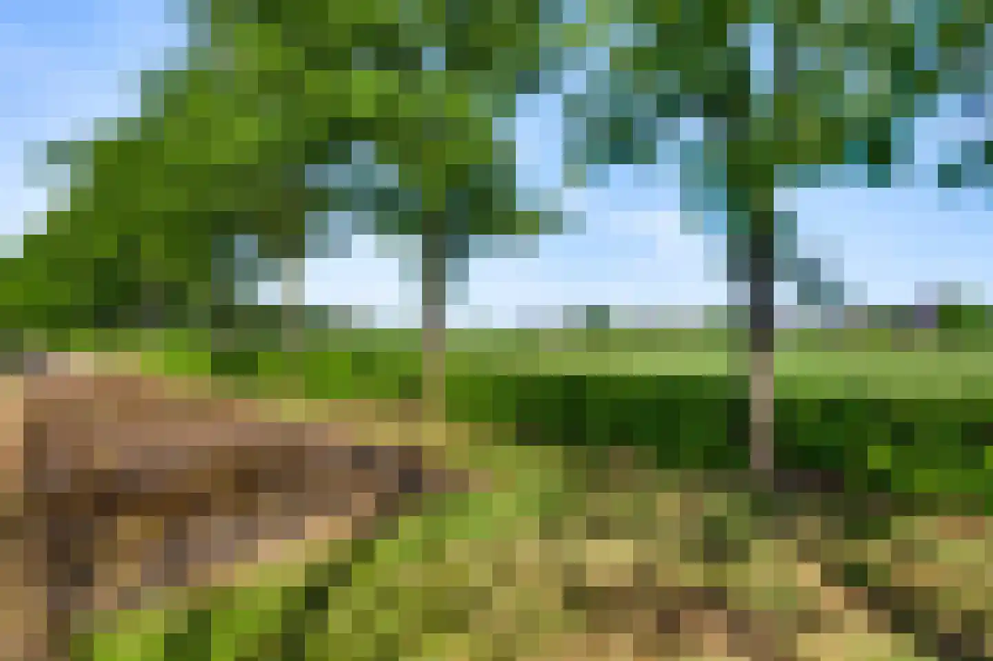 Grotesteeg 27 Weert thumbnail 53
