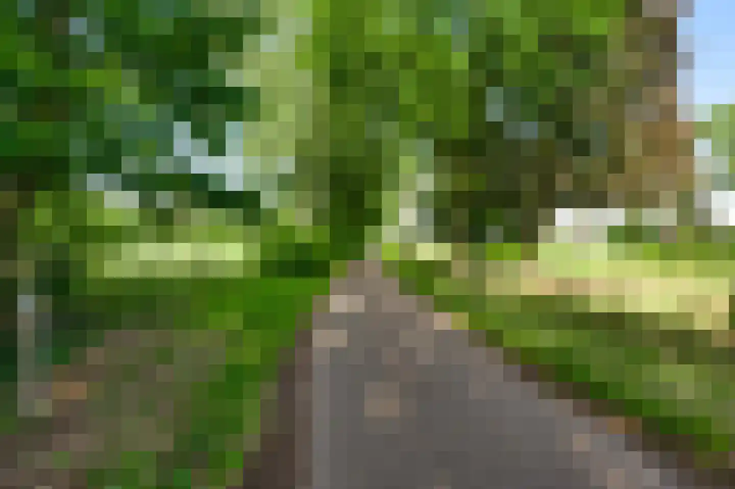 Grotesteeg 27 Weert thumbnail 9