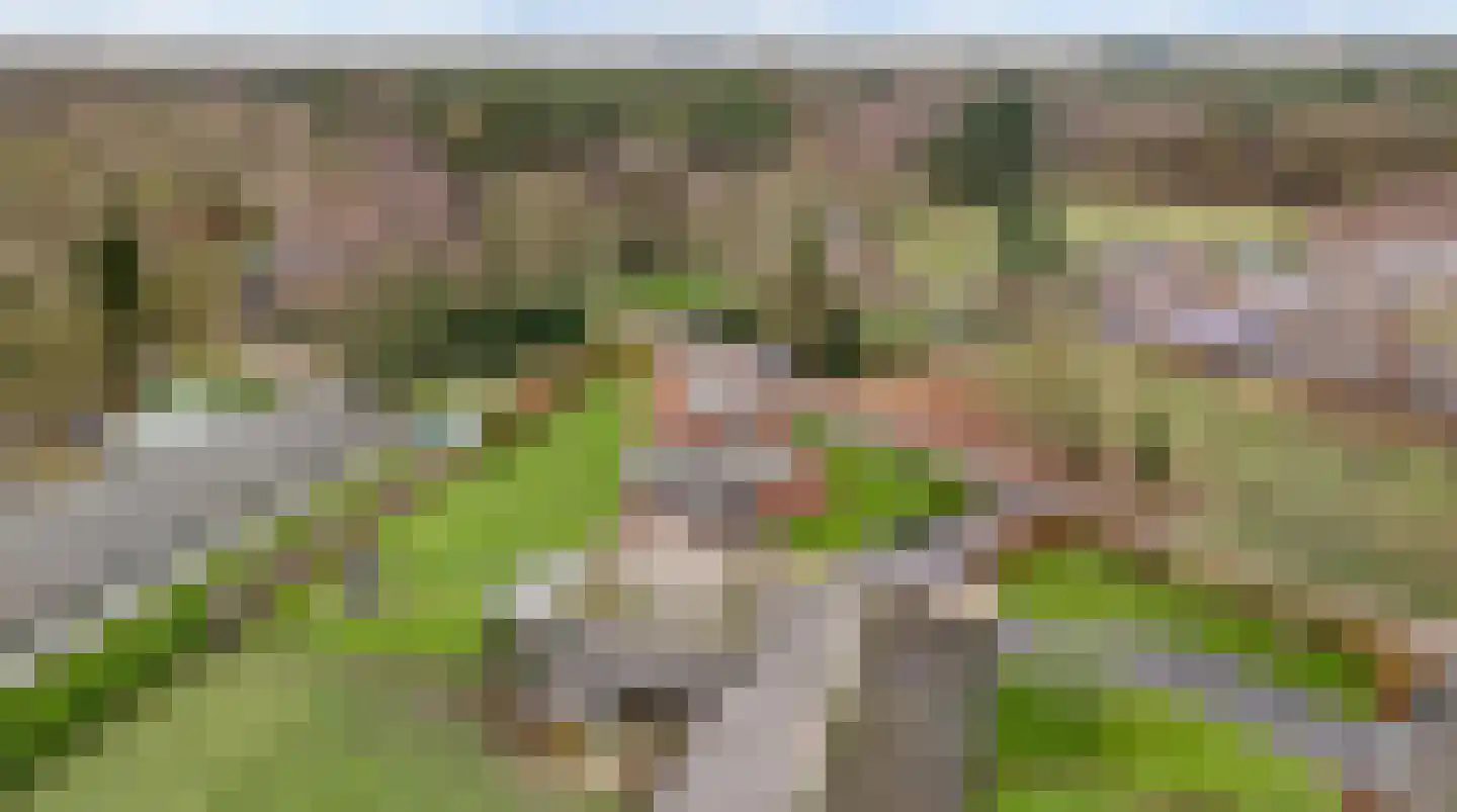 Grotesteeg 27 Weert thumbnail 9