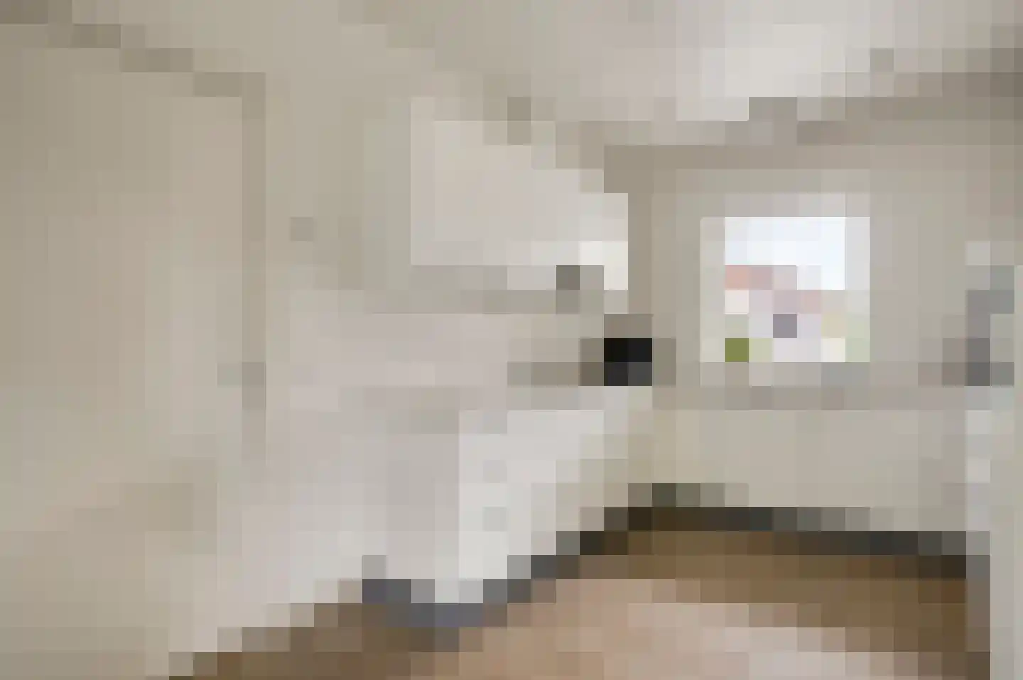 Grotesteeg 8 Weert thumbnail 18