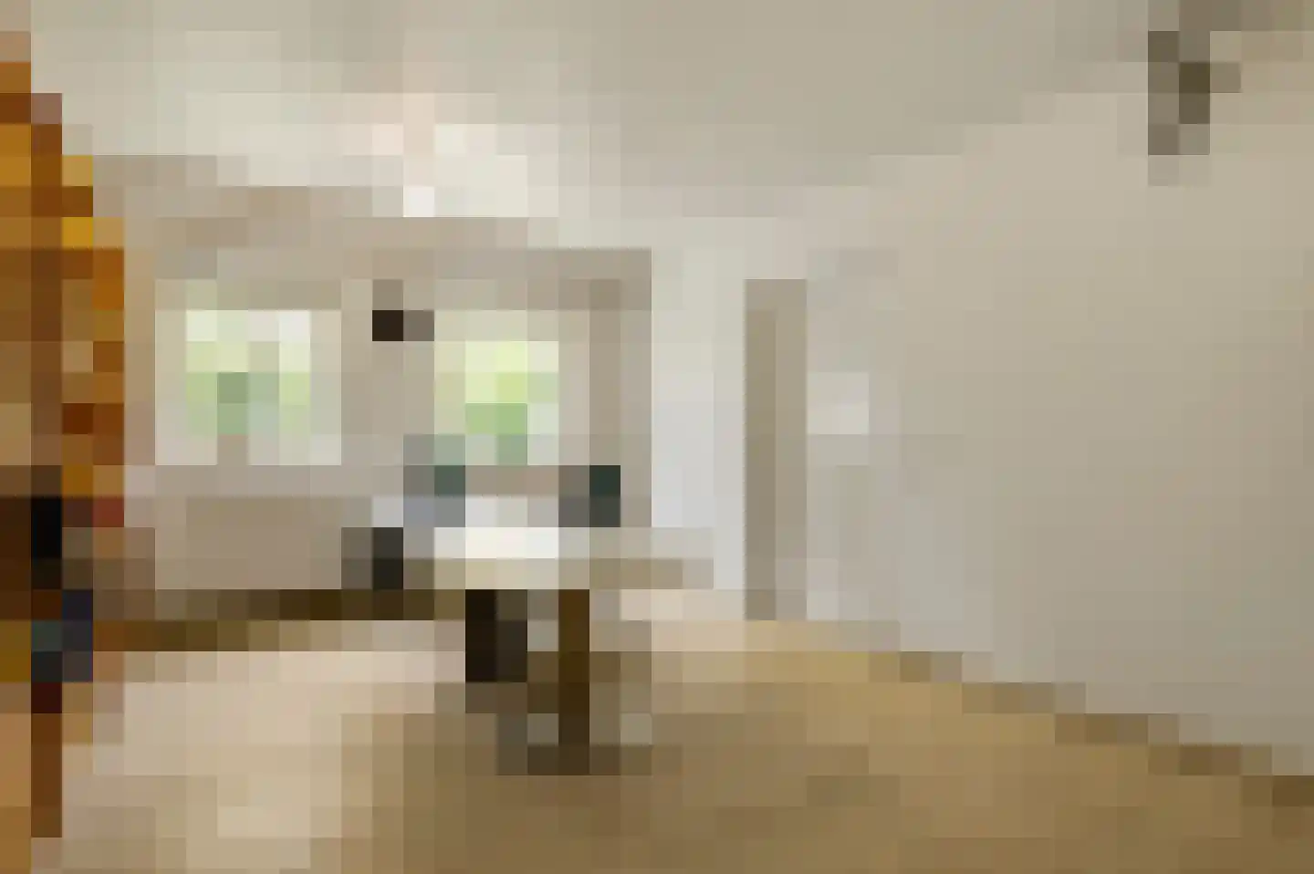 Grotesteeg 8 Weert thumbnail 34
