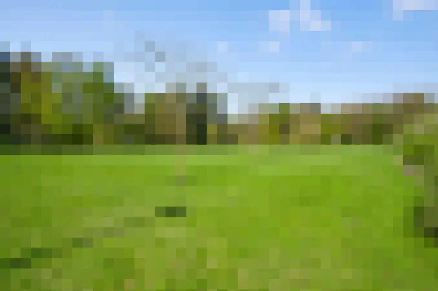 Grotesteeg 8 Weert thumbnail 55