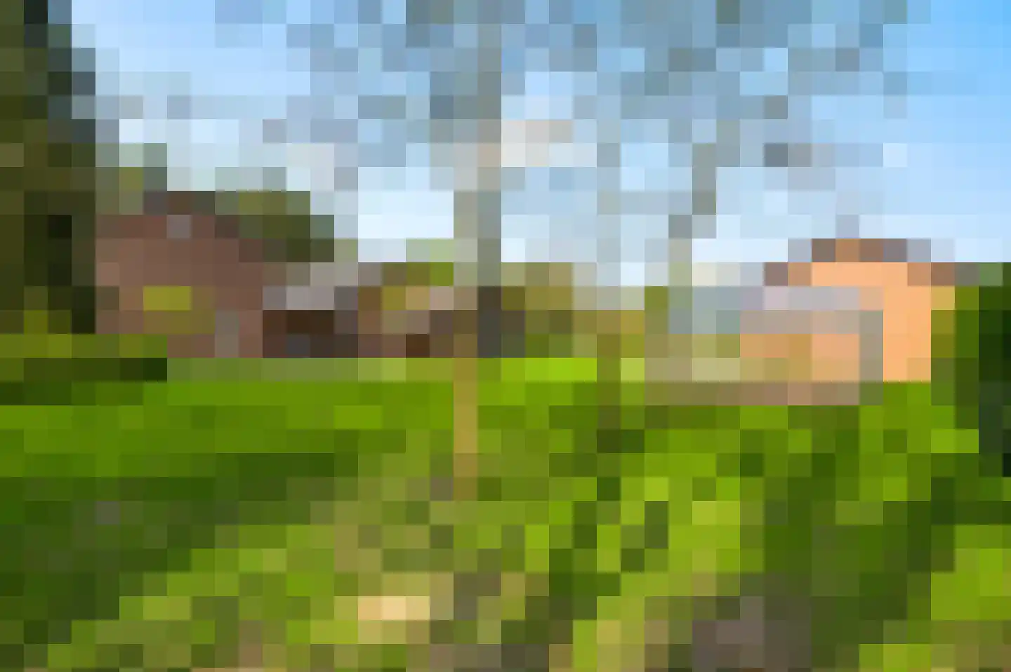 Grotesteeg 8 Weert thumbnail 61
